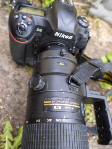 Nikon D5 with Nikkor 200-400 mm f/4,0